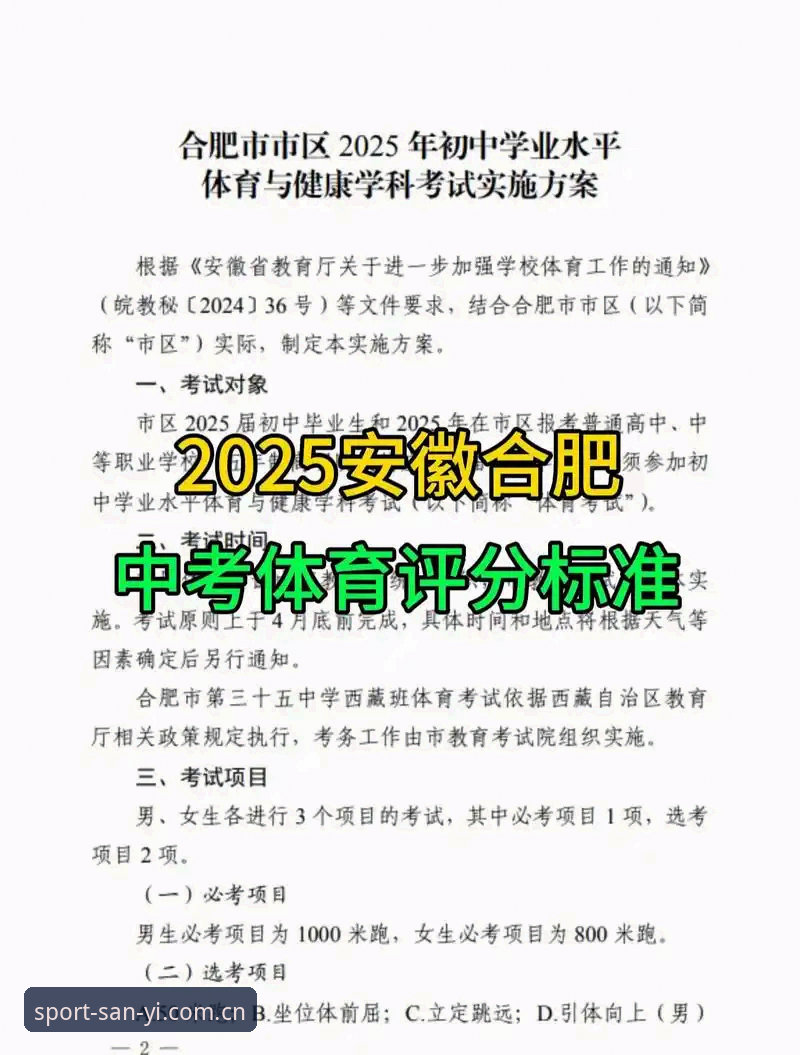三亿体育怎么样 三亿体育平台2025最新动态:新手必看完整体验报告